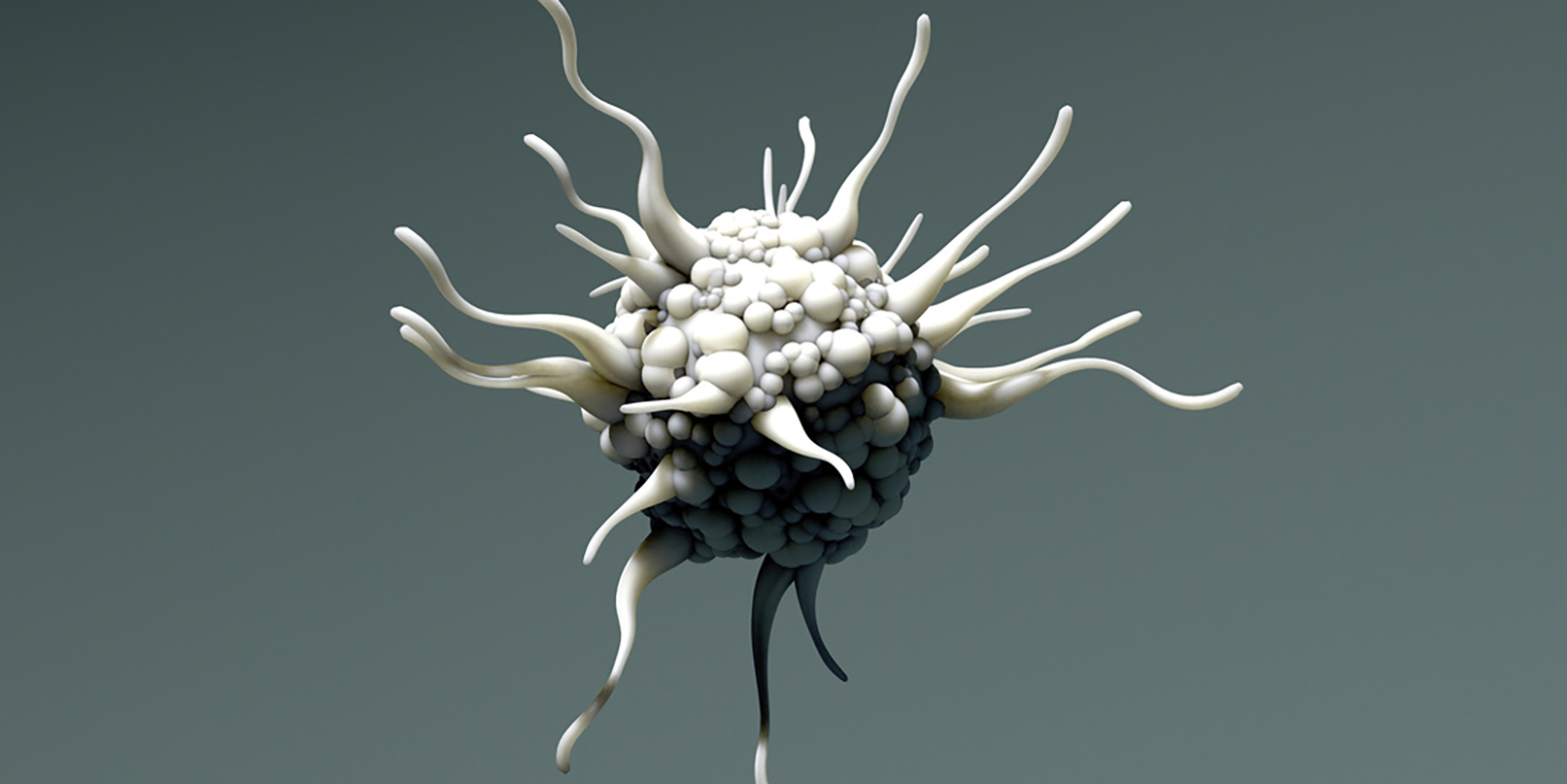 How Dendritic Cell Looks Like