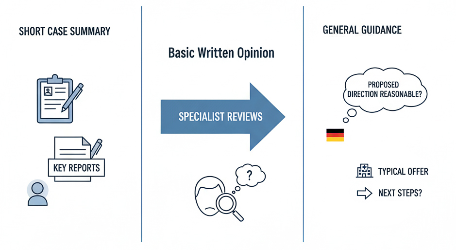 Brief Opinion in Germany