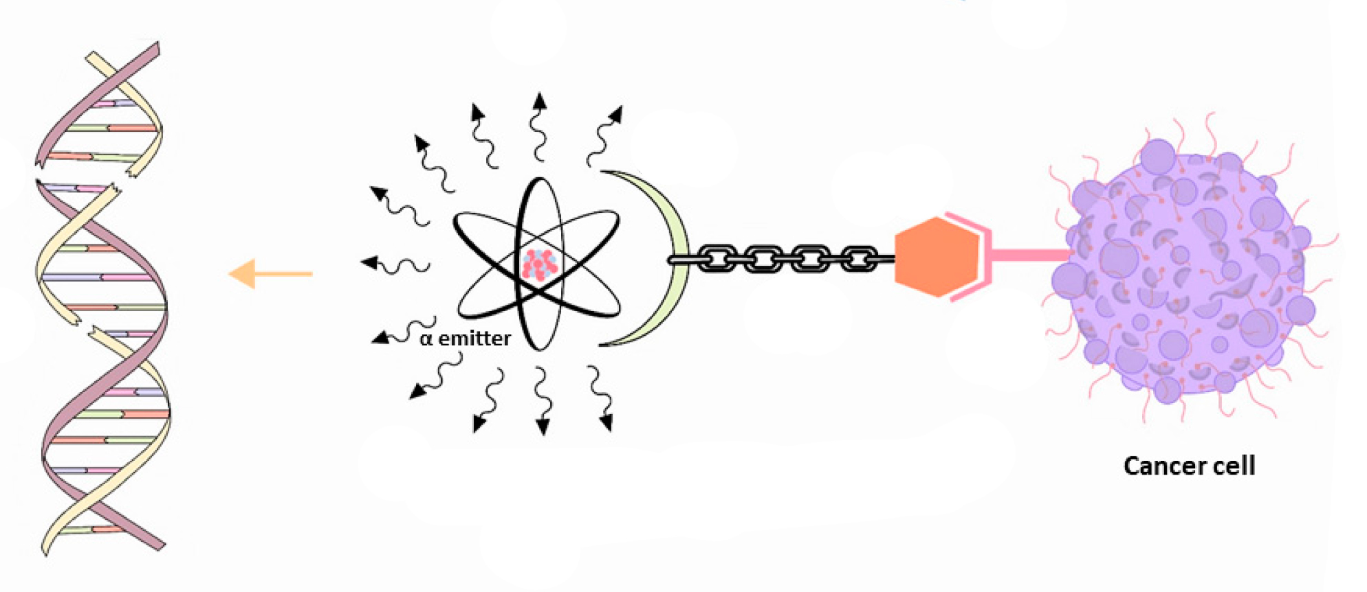 Mechanism of Action for Ac225